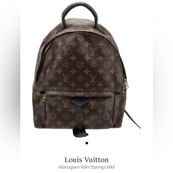 Louis Vuitton Monogram Palm Springs MM - Picture 3 of 5